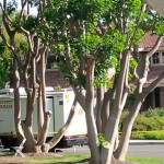 Michael Mike Sheer son killed family bodybuilding mission viejo murder suicide