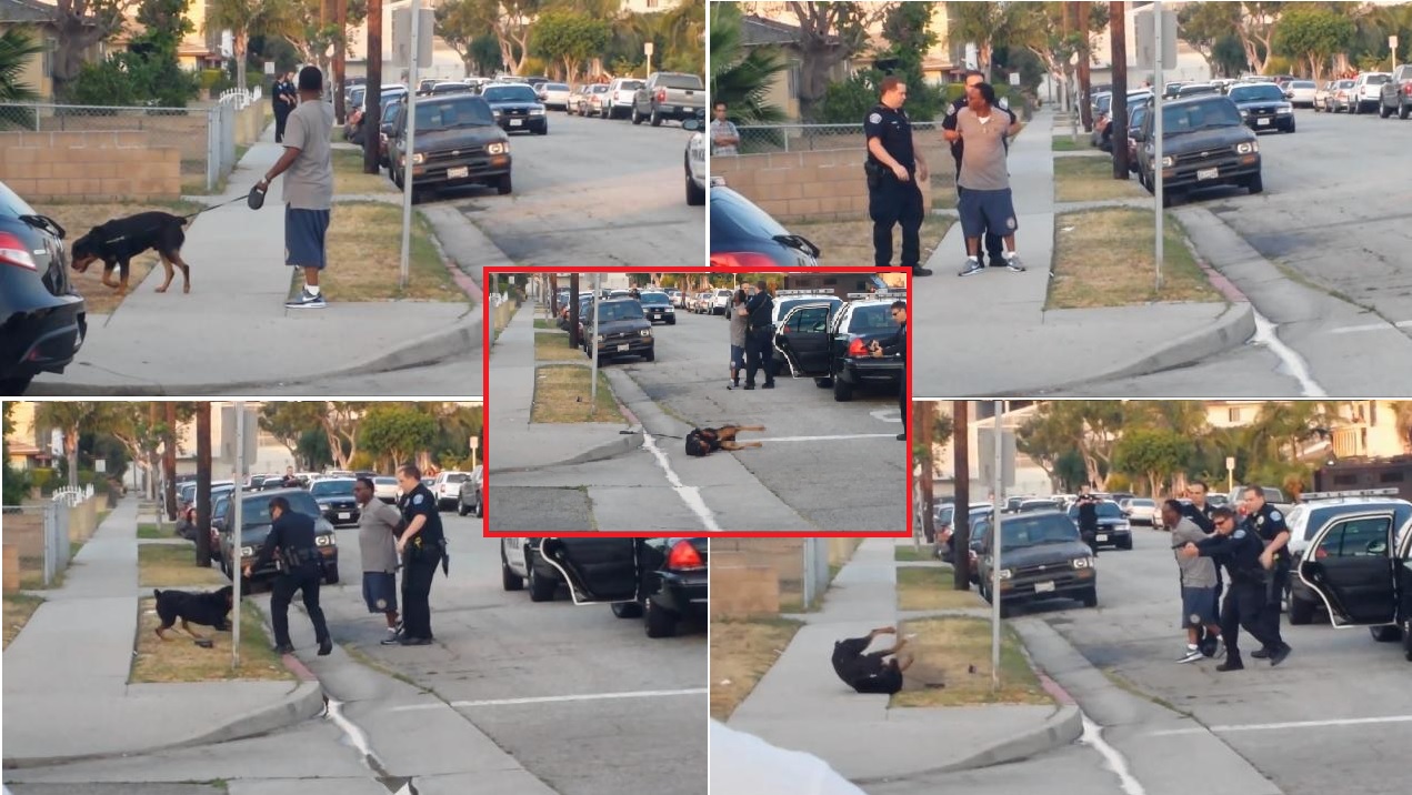 Leon Crosby Max the Rotweiller Hawthorne Cops Police killed shot dead dog Jeffrey Salmon death threats Los Angeles